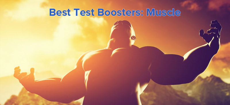 The Best of the Boost – Test Boosters for Muscle Building