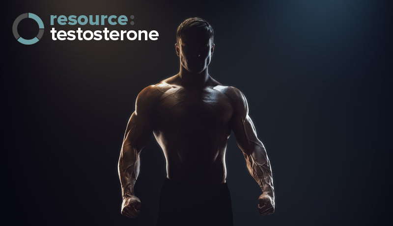 Putting the T in Diet – Testosterone As A Fat Burner