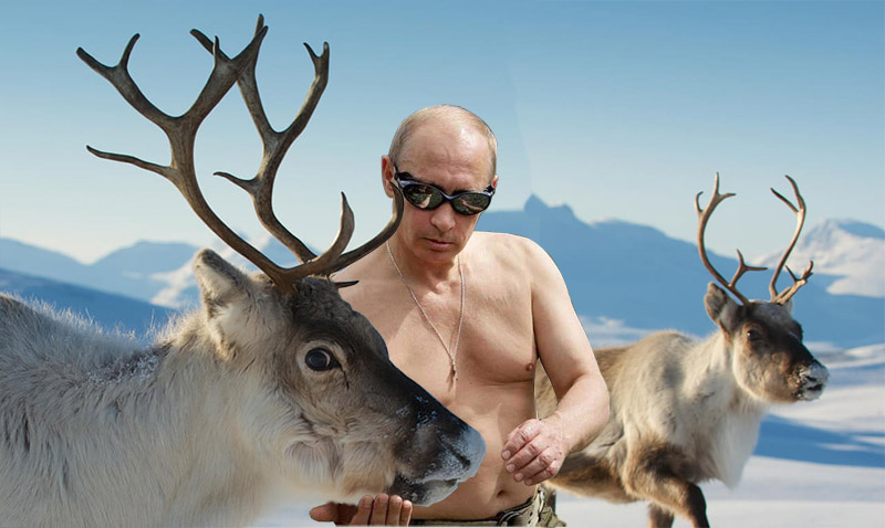 Deer Leader: How Putin Stays Manly