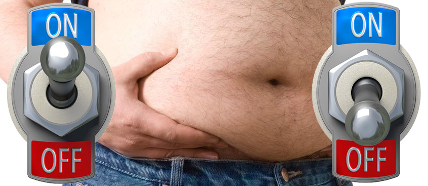 Big Turn Off: Switch In Brain Cause of Obesity
