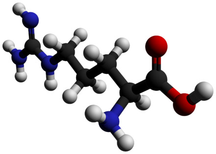 L-Arginine Molecule