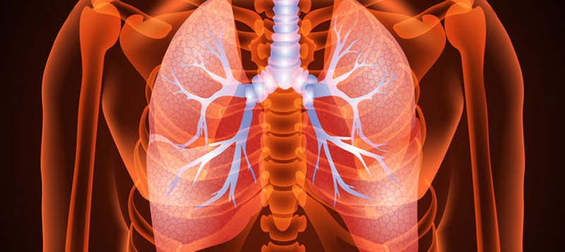 Breathe Easy: Testosterone May Help Chronic Lung Conditions